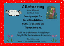 Load image into Gallery viewer, A Bedtime Story Children's Rhyming Story