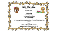 Load image into Gallery viewer, Trixi The Pixie Children's Rhyming Story