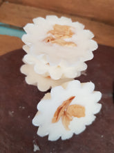 Load image into Gallery viewer, Mediterranean Fig Luxury Wax Tarts
