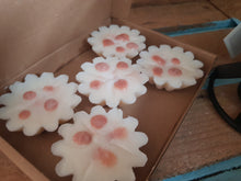 Load image into Gallery viewer, Cognac and Cuban Luxury Wax Tarts
