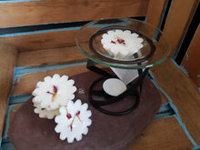 Load image into Gallery viewer, Champagne and Rose Luxury Wax Tarts
